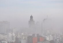 Légszennyezés és hiperreaktivitás: hogyan erősíti fel a városi szmog a pollenek okozta immunválaszt?